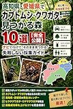 高知県・愛媛県で カブトムシ・クワガタが 見つかる森10選【完全公開】: ナビで行けて、そのまま見つかる。失敗しない採集ガイド カブトムシ・クワガタ採集穴場10選シリーズ
