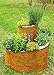Produktbild Novaliv Kräuterspirale Naturrost Kräuterschnecke Hochbeet Kräuterbeet Erdbeerturm Kräuterschnecke Kräuterturm Pflanzenspirale Gewürzschnecke Blumenpyramide Pflanzenschnecke Pflanzenring (51 cm Hoch)