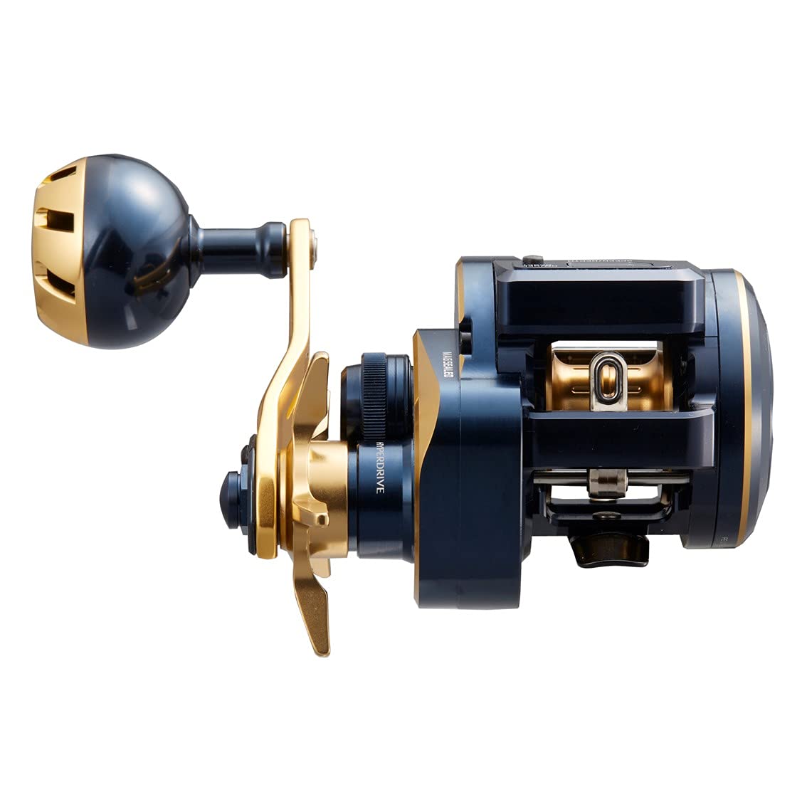 Amazon.com : Daiwa 21 Saltiga IC 100 : Sports & Outdoors