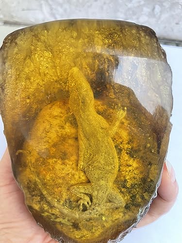 Image of Large Amber Ornaments Resin Amber Protolith Wormhole Ornaments Real Scorpion Specimens for Office and Home Ornaments (House Lizard)