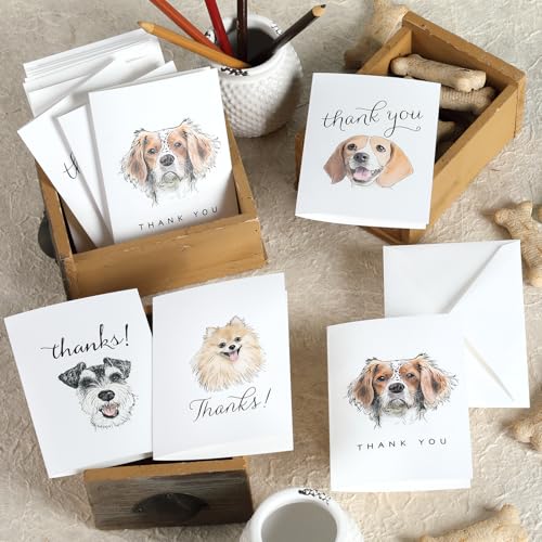 Image of Hortense B. Hewitt All Occasion Blank Thank You Note Cards
