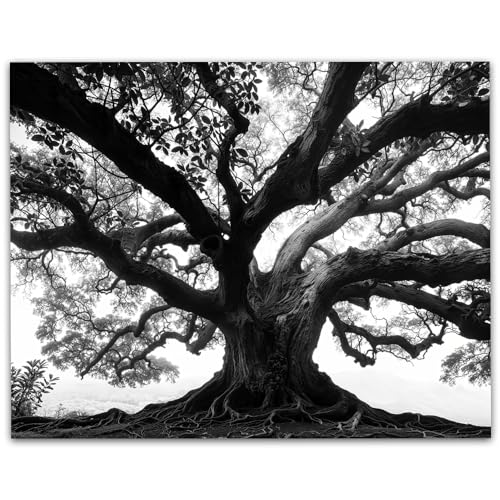 Tree of Life Black & White Photo 11x14 Unframed Poster