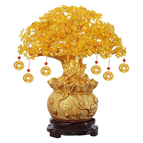 Chinesischer Geldbaum kaufen Die 15 besten Produkte im Vergleich