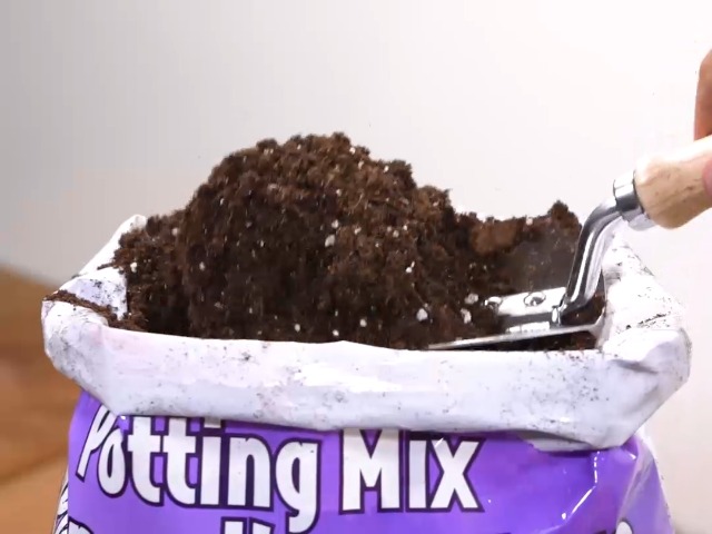 orchid potting mix home depot E.B. Stone™ Organics Orchid Mix  Green Acres Nursery & Supply