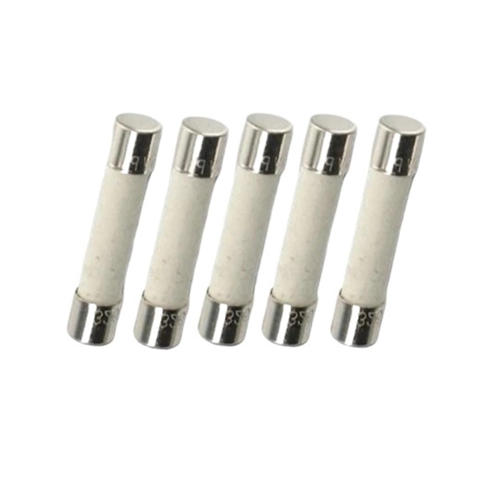 KXIWLUFV 5PCS 1.25A 250V Ceramic Fuse