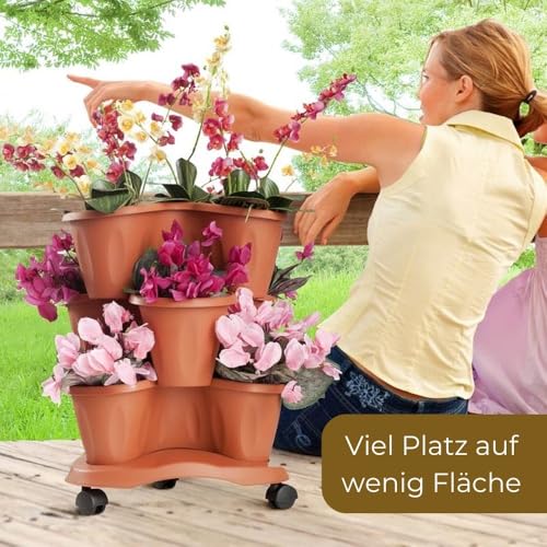 Pflanzturm Erdbeerturm 3er Set Säulentopf Stapelbar Kräuterspirale 3 Stöckiger Blumentopf Vertikaler Garten Kräutergarten Hochbeet Pflanzkübel mit Rollen Terracotta