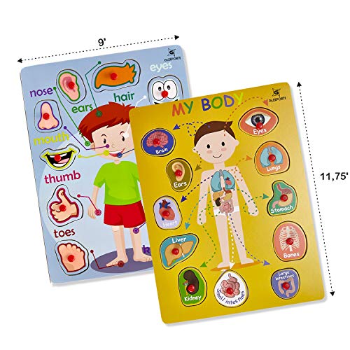 Gleeporte Wooden Peg Puzzle, My Body - Inside & Outside Parts - Pack of 2 Learning Educational Pegged Puzzle Boards for Toddler & Kids - (Set of 2)