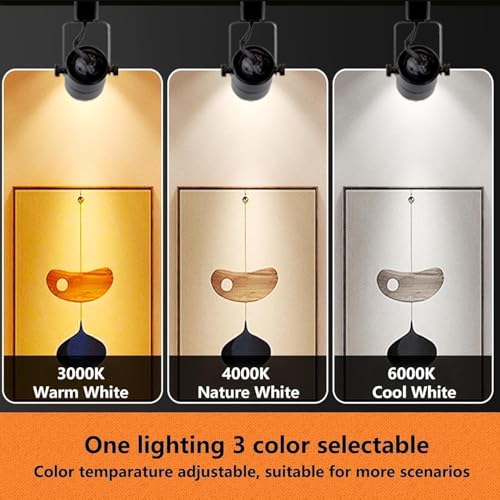 Image of Black GU10 LED Track Lighting Heads, 2-Light 10W Dimmable