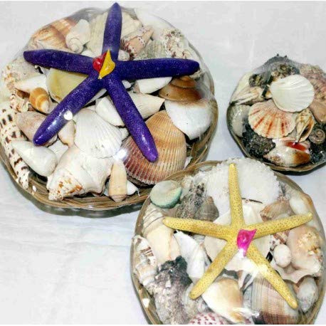 MiscelaneousCarga de Olokun-Olokun Shell Basquet (Small)