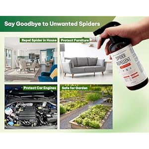 Kates-Home-Garden-Spider-Repellent-Indoor-Peppermint-Oil-Spray-for-Bugs-Spider-Spray-for-Indoors-Outdoors-Patio-16oz-Non-Toxic-Pet-Safe - Cucciolini Doodles   Kates-Home-Garden-Spider-Repellent-Indoor-Peppermint-Oil-Spray-for-Bugs-Spider-Spray-for-Indoors-Outdoors-Patio-16oz-Non-Toxic-Pet-Safe