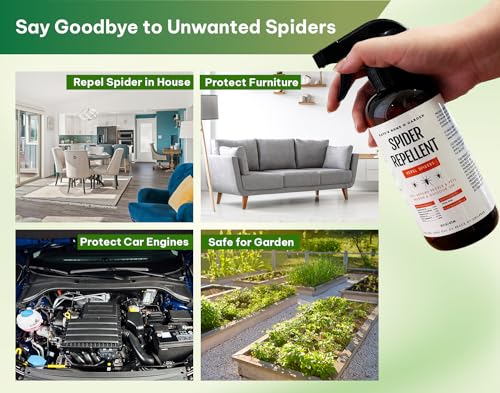 Kates-Home-Garden-Spider-Repellent-Indoor-Peppermint-Oil-Spray-for-Bugs-Spider-Spray-for-Indoors-Outdoors-Patio-16oz-Non-Toxic-Pet-Safe - Cucciolini Doodles   Kates-Home-Garden-Spider-Repellent-Indoor-Peppermint-Oil-Spray-for-Bugs-Spider-Spray-for-Indoors-Outdoors-Patio-16oz-Non-Toxic-Pet-Safe