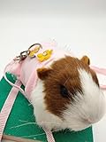 ★【Aplicación】-Adecuado para cobayas, ratas, hámsteres, hurones, perros de pradera y otras mascotas muy pequeñas.