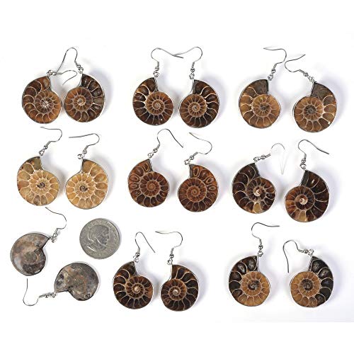 Justinstones Natural Ammonite Fossil Earrings2