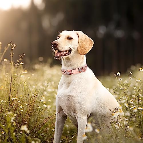 Unique Style Paws Dog Collar Metal Buckle Collar Gift For Small Medium Large Boys Girls Dogs thumb #2