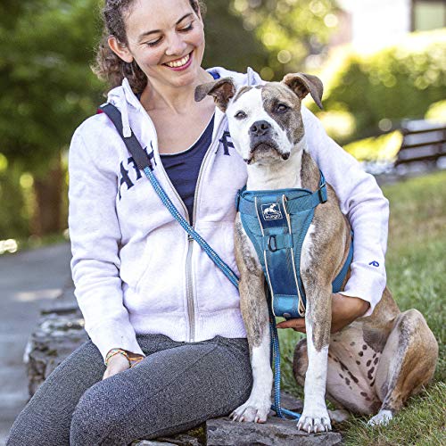 Kurgo TRU-Fit Smart Dog Walking Harness – Bequeme Passform – verstellbares Geschirr – reflektierende Haustierkleidung – Schnellverschluss – Zubehör für den täglichen Spaziergang – inklusive