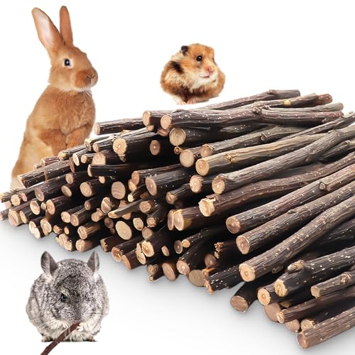 MIALEXO Apple Sticks 500g Premium Wooden Chew Stick Toys Natural Apple Sticks for Guinea Pigs Rabbits Hamsters Gerbils Chinchillas and Small Rodents