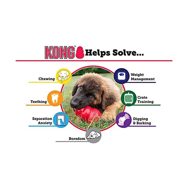 KONG Small Dog Puppy Teething Toy – Colors May Vary (2 Pack) KONG Small Dog Puppy Teething Toy – Colors May Vary (2 Pack)