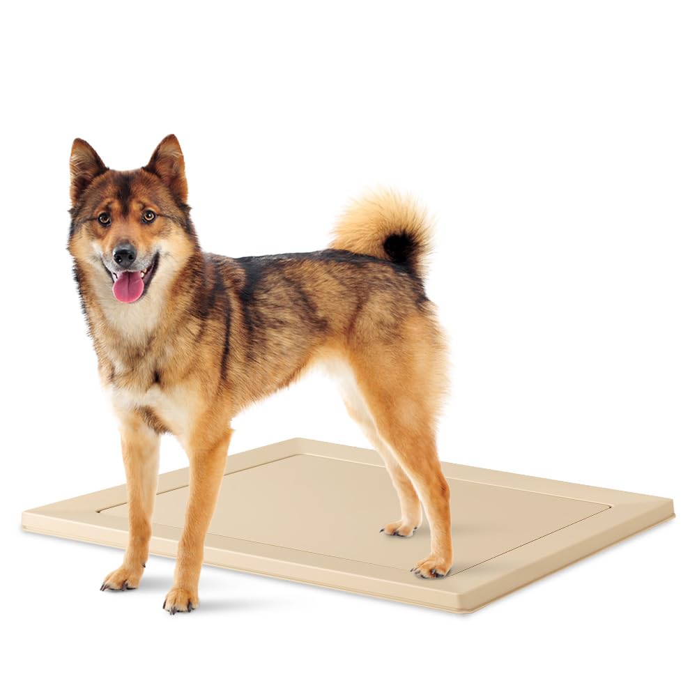 Amazon.co.jp: アイリスオーヤマ(IRIS OHYAMA) 犬 トイレ スクエア