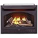 ProCom FBNSD28T Ventless Dual Fuel Firebox Insert, 29 in