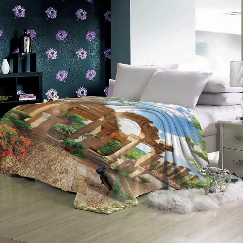 GXBDYD Manta Polar Adulto Cama 150 Manta De Franela para Sofa Cama con Arquitectura Clásica Pavo Real Impresión Patrón 180X220cm Colchas Invierno Modernas para Niños, Microfibra Suave Caliente