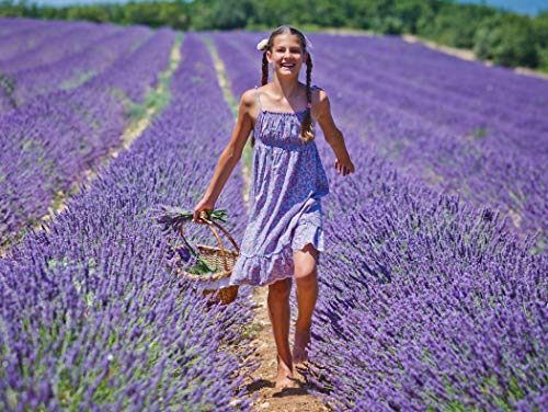 image for Pura Aide Lavender Sachets Pre-Filled for Refreshing Drawers Closets D