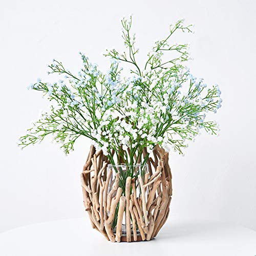 100% Handwork Natural Driftwood Wooden Decoration Vase with Hydroponics GlassJar - Image 9