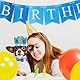 Hunde Geburtstagsparty Zubehör, Haustier Party Dekorations Set, Geburtstagskrone, Bling Bling Fliege und Happy Birthday Banner für Hunde Katzen Haustiere, Blau