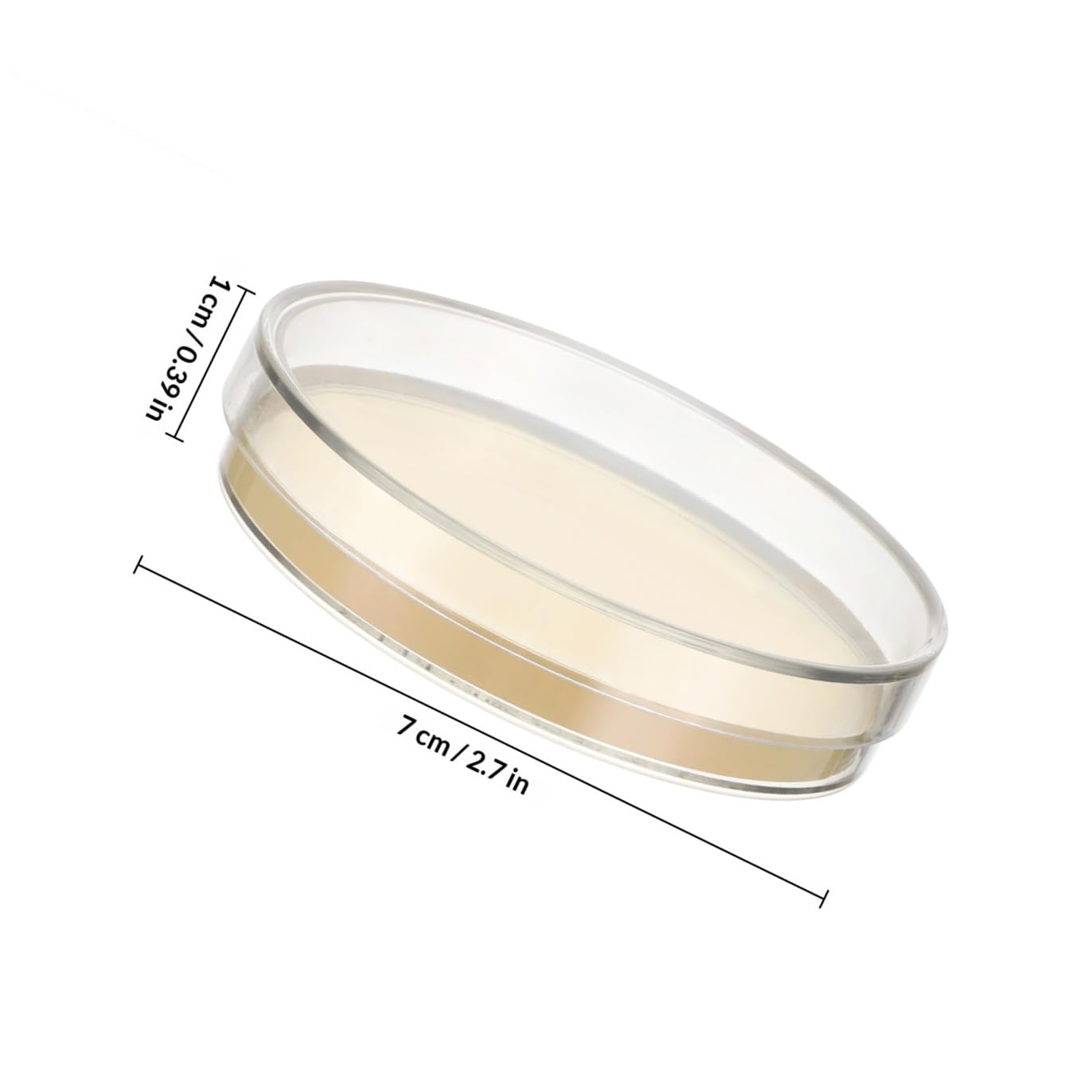 KESYOO 10 Boîtes de Petri Pré-coulées de 7 Cm Contenant de La Gélose, pour Expériences Scientifiques Et de Laboratoire, Microbiologie, Cours de Biologie, 10 Pièces