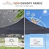 OLIXIS 10x10 Ft Pop Up Canopy Tent, Waterproof Portable Outdoor Shade Canopy with Sand Bags for Beach, Backyard Parties & Events, Charcoal #2