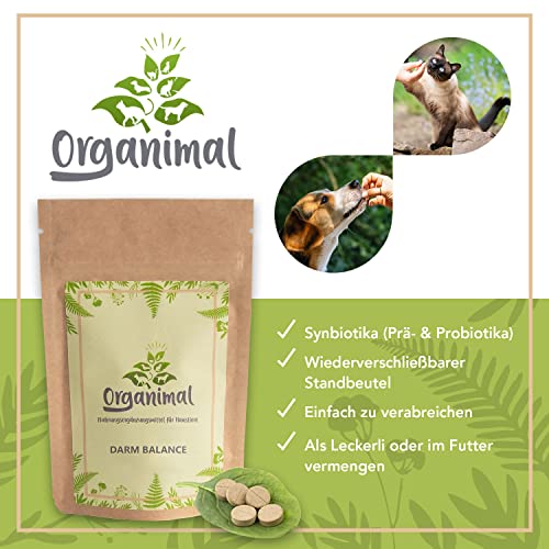 Probiotika für Katzen – Organimal Darm Balance Kautabletten