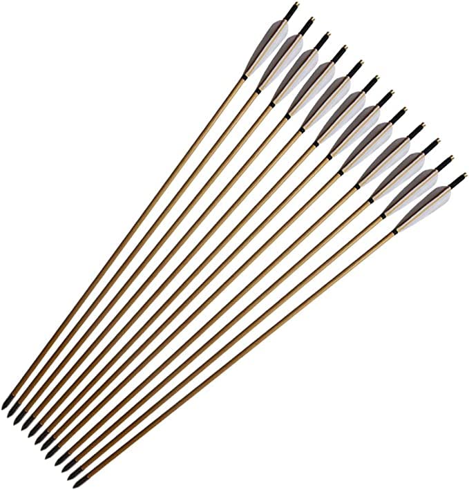 biubiusot 33inch Wooden Arrows Handmade Archery Target Arrows with Field Points for Recurve Bow Longbow Hunting Practice with Turkey Feather Fletching 12PACK (White)