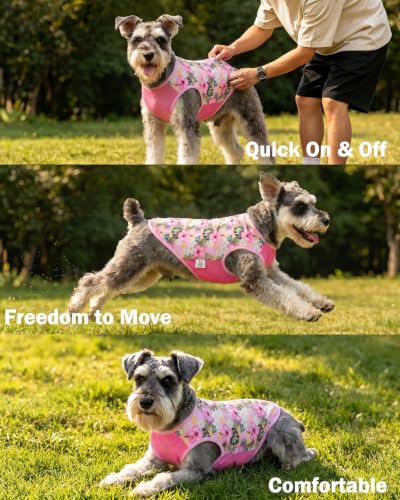 Image of CuteBone Mesh Panel Dog Tank Top - Breathable Dual-Fabric Pet Vest Lightweight Summer Small Dog Shirts - Keep Your Pets Cool, Sun-Protected Outdoors