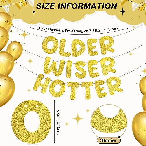 Image of Fulmoon Set of 3 Pre Strung Older Wiser Hotter Glitter Banner Funny Birthday Banner for Women 30th 40th 50th 60th 70th 80th Birthday Party Decorations Sign Gift(Gold)