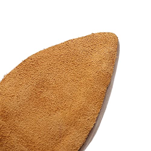 HIPPOSEUS Women's Latin Ballroom Dance Boots Ballroom Salsa Heel Ankle Dance Booties with Zipper,Model 72183