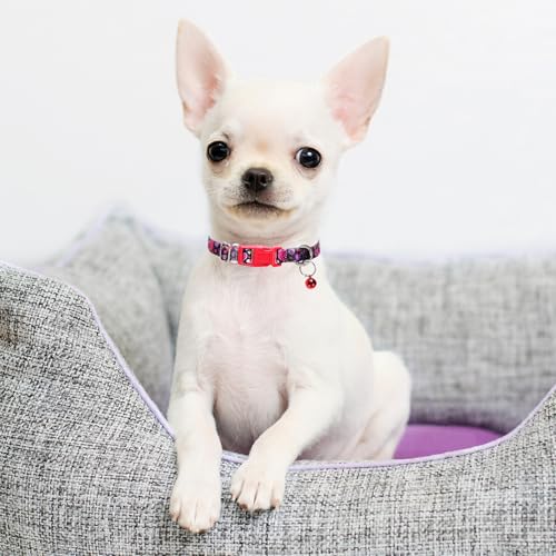 Collier pour chien XXS chat chiot petits animaux clochette noir - 4