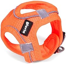 Harnais pour Chien Gloria Trek Star 32,8-35,4 cm 45-47 cm Orange M