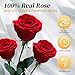 White Forever Flowers Roses in A Box,Real Preserved Flowers,Preserved Roses,Forever Flower Gifts for Women/Men/Mom,Flowers for Valentine's Mothers Day