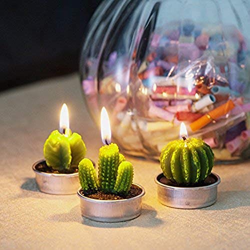 Aixiang 6 Styles Cactus Tealights Candle Delicate Succulent Tealight Candles For Home Decor New Year Presents, Housewarming Gifts, Housewarming Favors For Guests, Christmas Decorations (6 Pcs) #TOP2