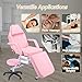 Favfurish Massage Salon Tattoo Chair,Multi-Purpose 3-Section Facial Bed Table, with Hydraulic Stool and Two Trays, Adjustable,fit for Beauty,Barber,Spa,Easy to Assemble, Pink