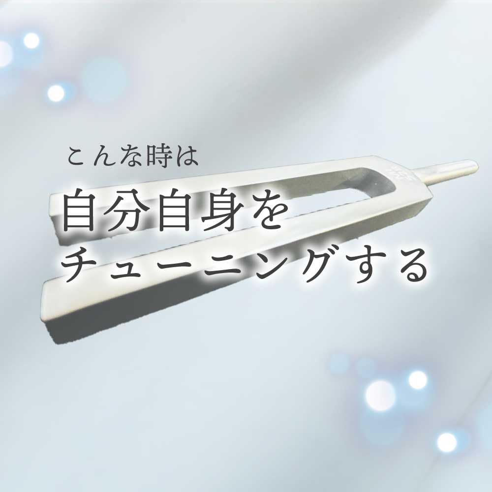Amazon | &SH 528HZ チューナー ラバーマレット 専用 袋付 / 528