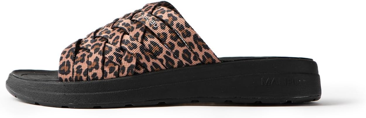 犬と猫の臨床外科 - 渡邉一弘著 - EDUWARD Press 本 犬と猫の臨床外科