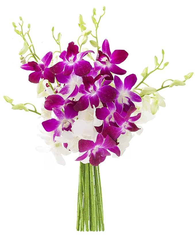 Image of KaBloom-20 Purple&White Orchid Bouquet,Flowers for Valentine, Mother's Day