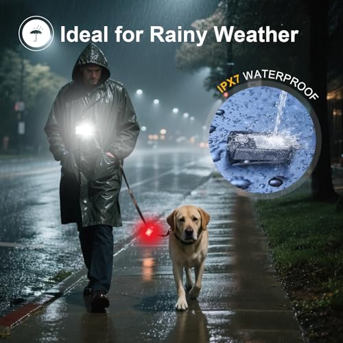 2 Stück Lauflicht USB-C Wiederaufladbar, 3 Helligkeitsstufen, Upgrade 2-in-1 Clip-Leuchte, IPX7 Wasserdichte Kompakte LED Taschenlampe für Abendspaziergang Joggen, Arbeiten, Camping (Schwarz)