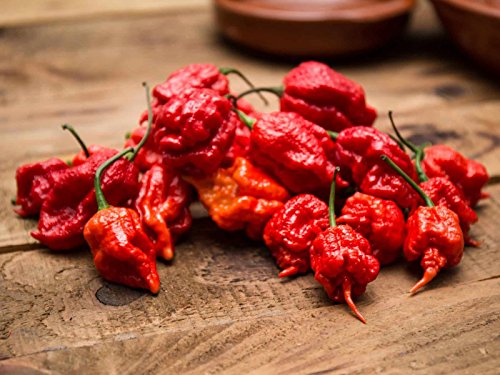 image for Monsoon Spice Company Carolina Reapers Dry Whole Pepper Pods Hottest P