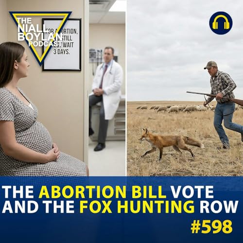 #598 The Abortion Bill Vote and the Fox Hunting Row Podcast Por  arte de portada