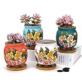Summer Impressions 3 Inch Hand Painted Succulent Cactus Plant Pot Clay Flower Pot Planter Container