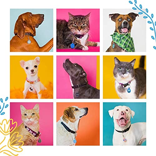 Dog Tag Art Yellow Labrador Retriever Personalized Pet Id Tag For Dogs, Silent Polymer Coated Yellow Lab Nametag - Large 1.25" Diameter #TOP5