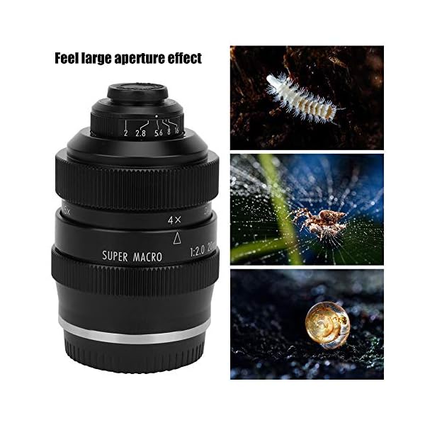 Vbestlife Makro-Objektiv, 20 mm, F2, Aluminiumlegierung, Schwarz, manuelle Fokussierung, große Blende, Super-Makro… – Bild 8