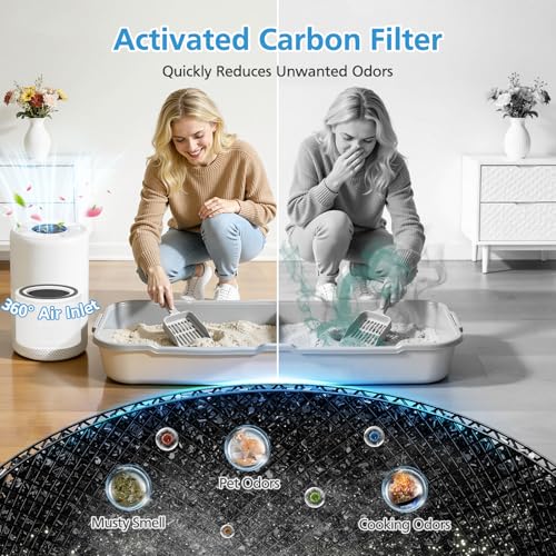 Image of 12070 Replacement Filter for Clorox Turbo Air Purifiers 11070, 2 Pack | 12070 Filters for Clorox 11070 Air Purifier, for Medium Rooms Up to 1,000 Sq Ft, 11070 Filters for Dust, Wildfire Smoke