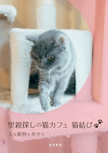 里親探しの猫カフェ 猫結び 人も動物も幸せに 里親探しの猫カフェ 猫結び 人も動物も幸せに
